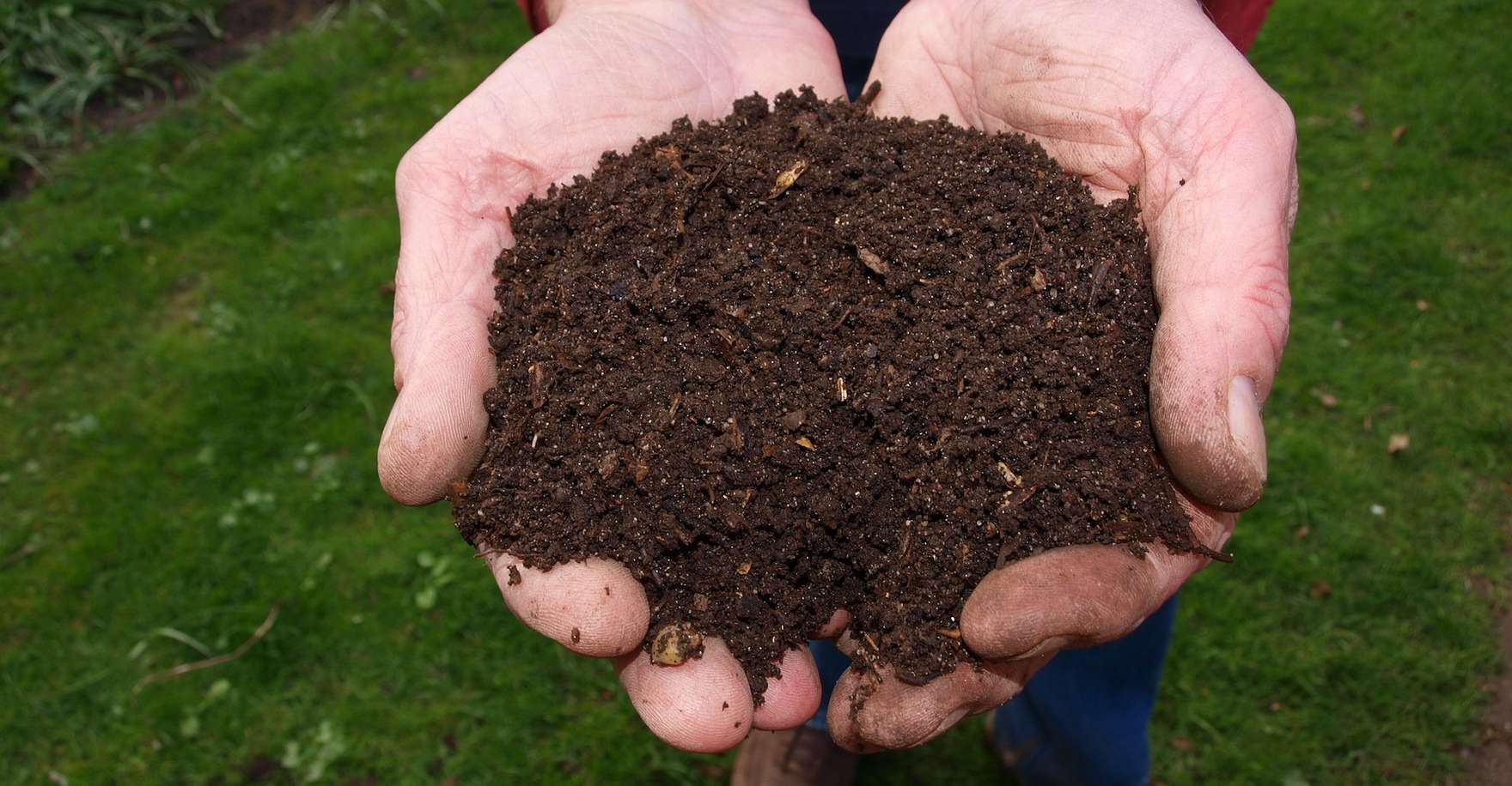 compost-dechets-organiques