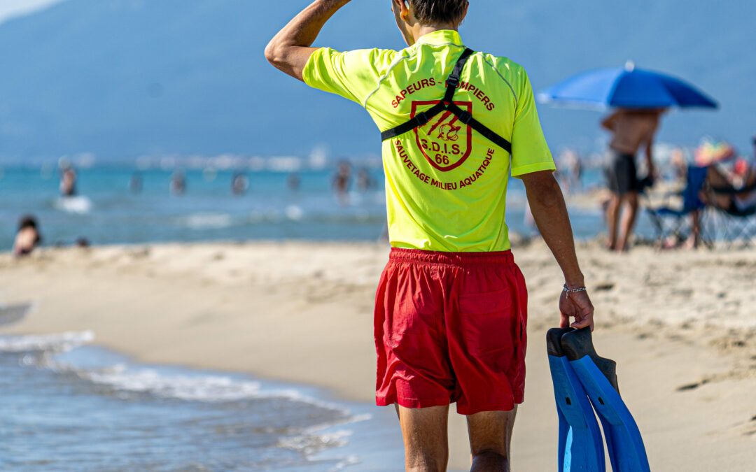 OFFRES D’EMPLOI DU SDIS 66