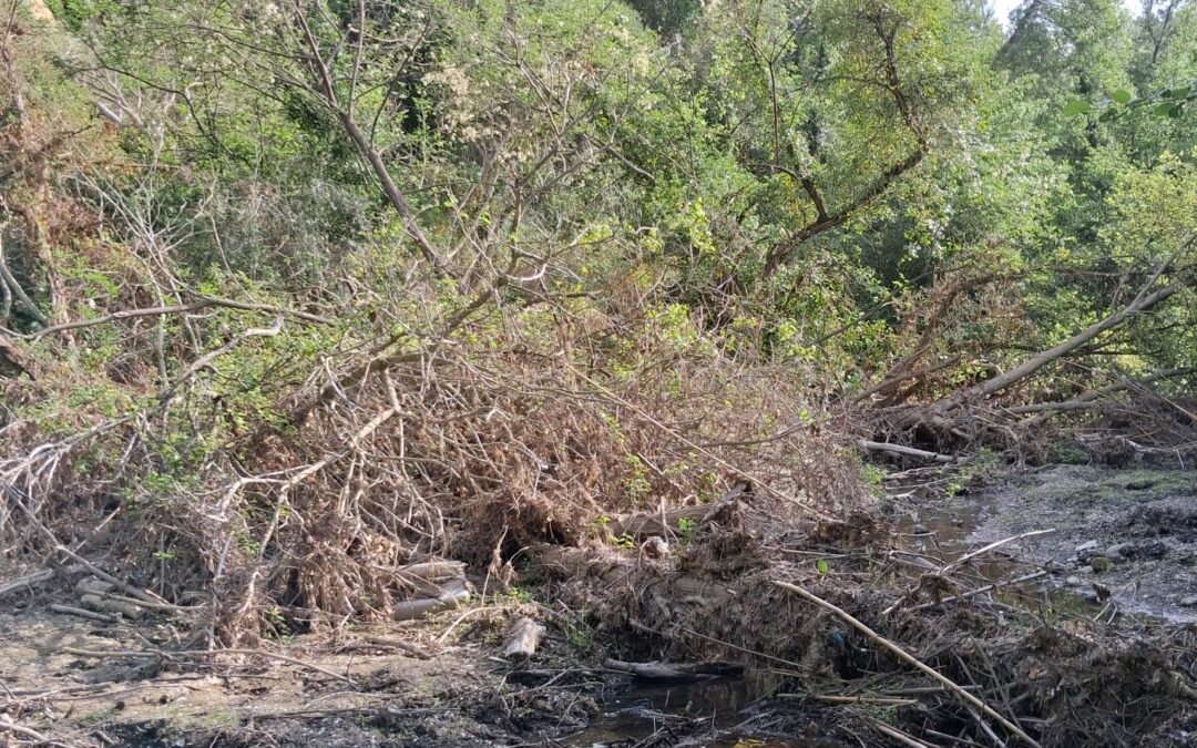COMMUNIQUÉ ASA CANAL DE SAINT-JEAN-PLA-DE-CORTS